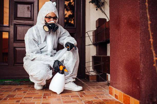Reliable Bed Bug Control contractor in Wheelersburg, OH by Nex Pest Control