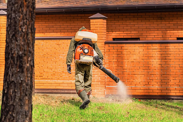 Trusted Termite Control service in Wheelersburg, OH - Nex Pest Control